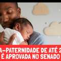 LICENÇA-PATERNIDADE DE ATÉ 20 DIAS É APROVADA NO SENADO